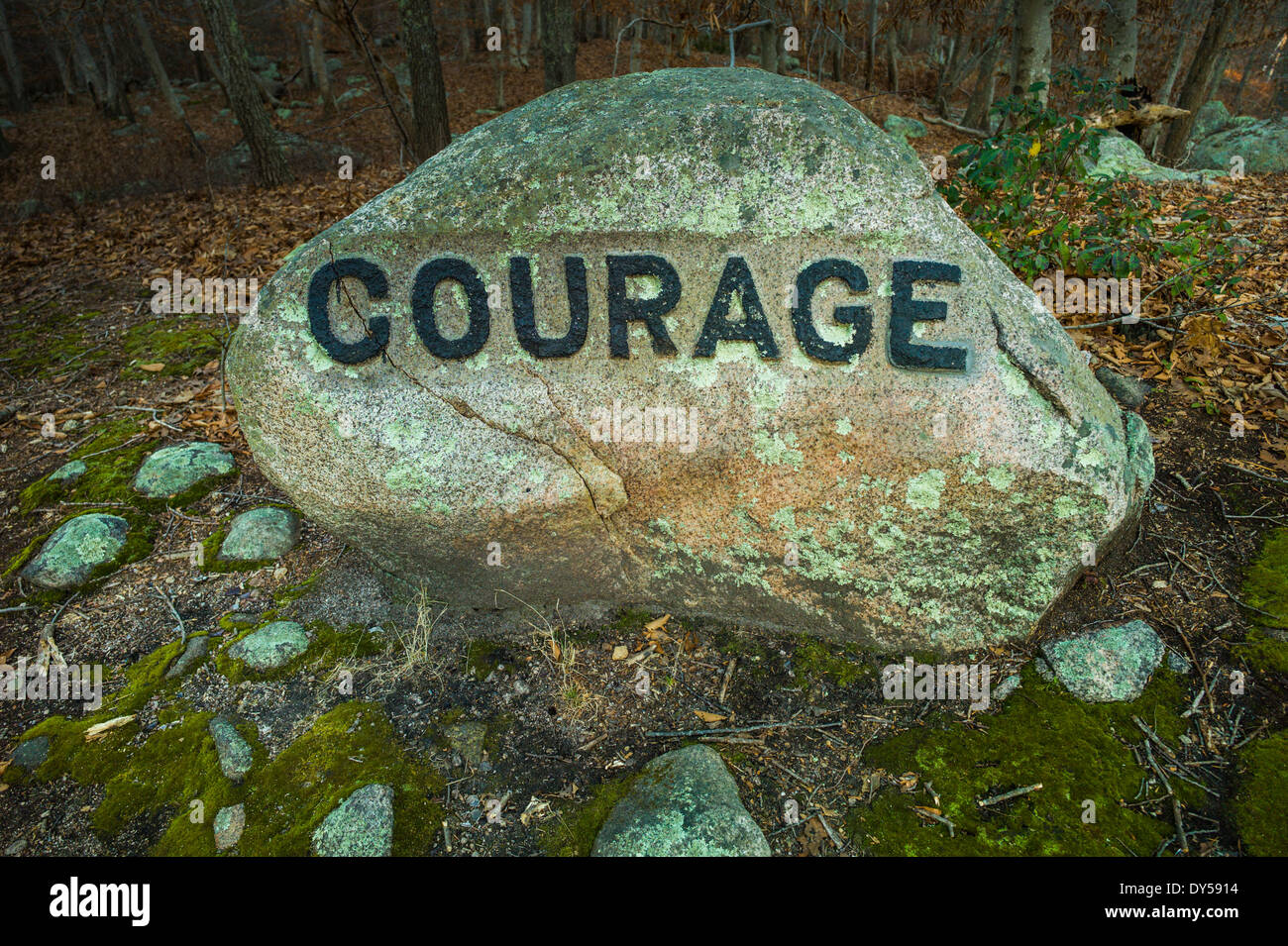 Dogtown massachusetts hi-res stock photography and images - Alamy