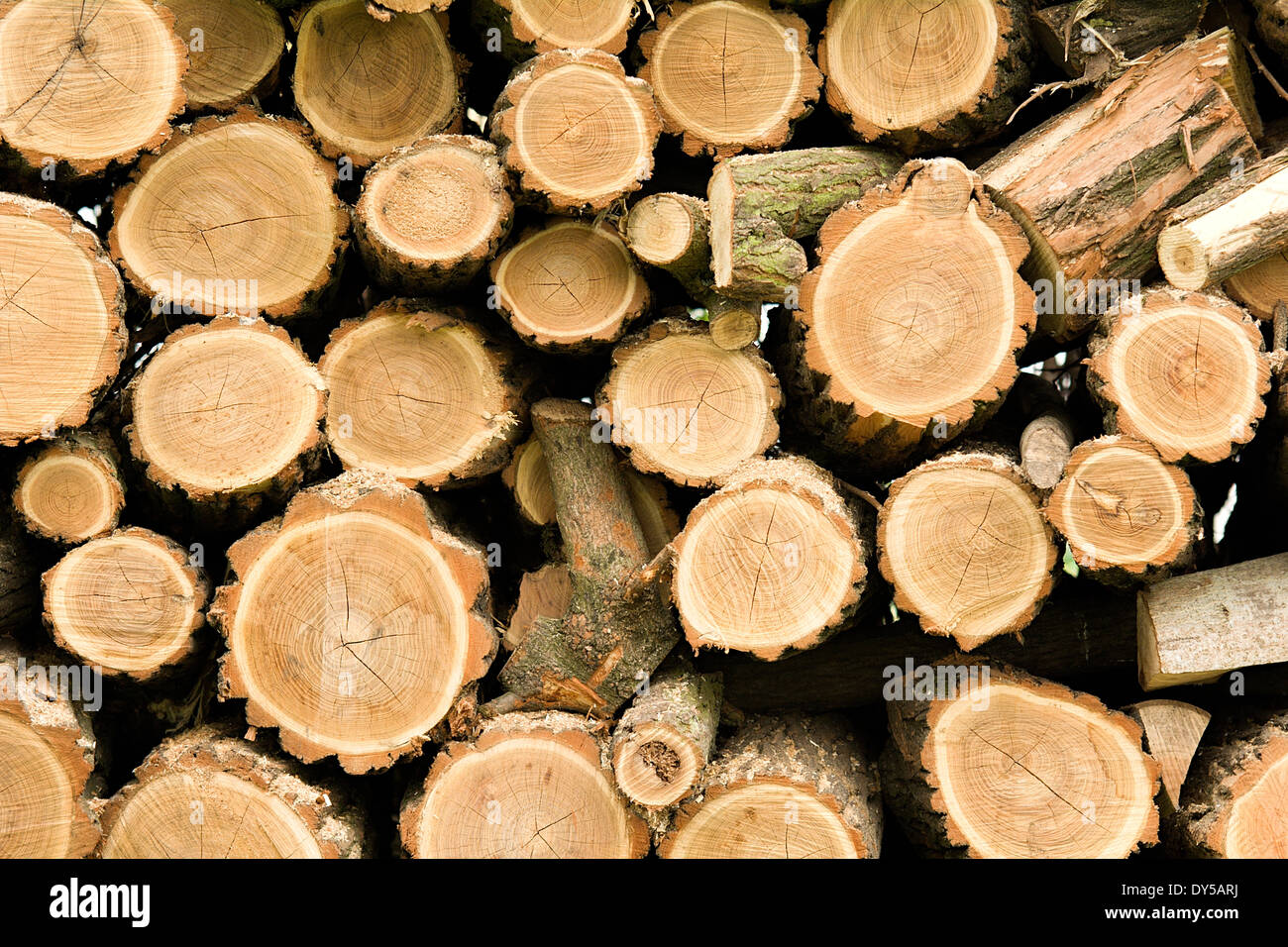 Pile Of Logs Small High Resolution Stock Photography and Images - Alamy
