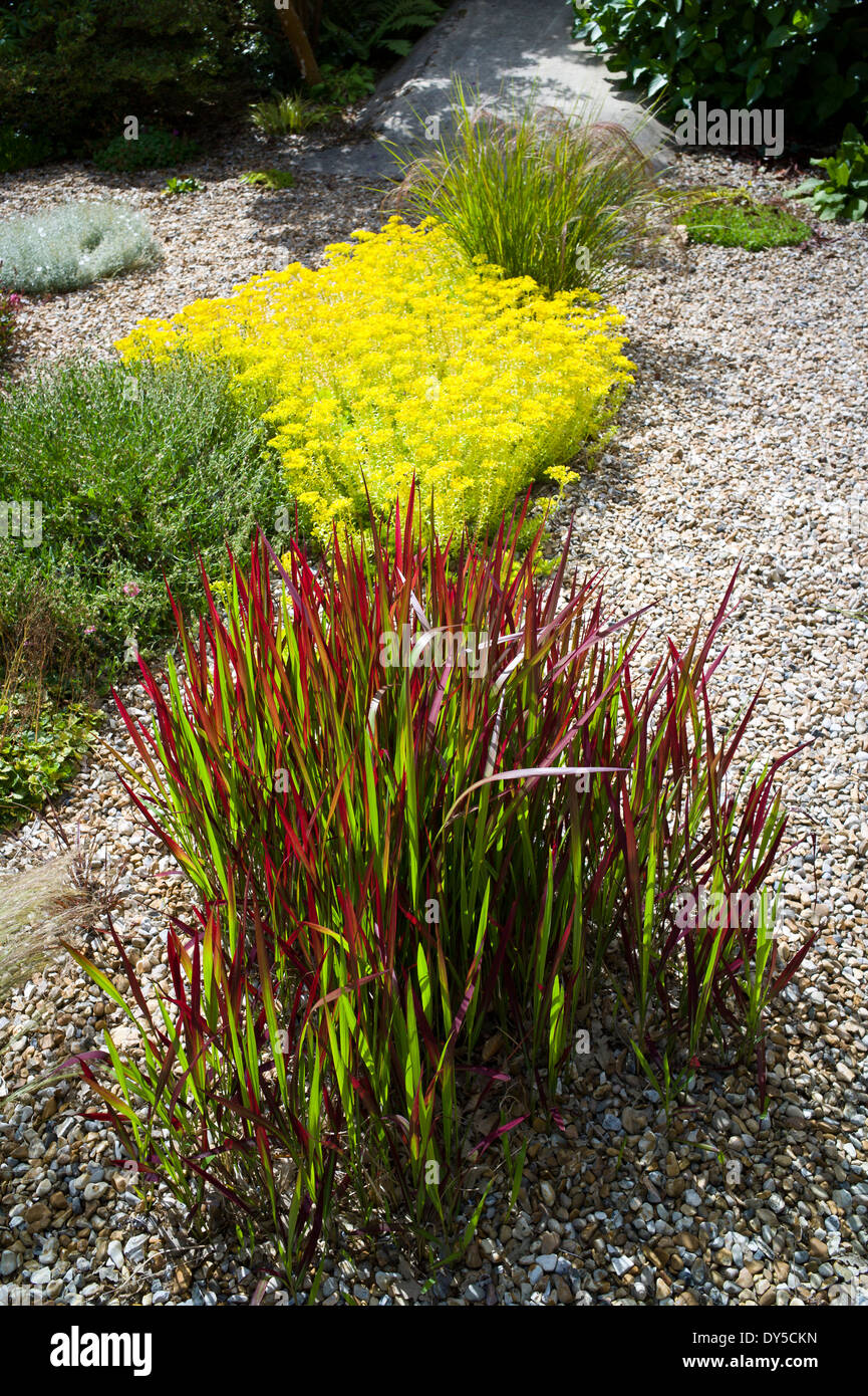 Grasses gravel garden hi-res stock photography and images - Alamy