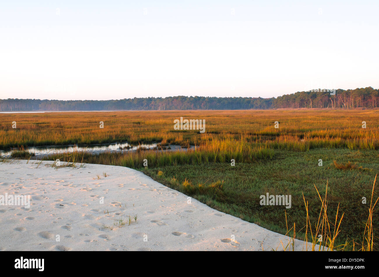 Delaware coastal plain hi-res stock photography and images - Alamy