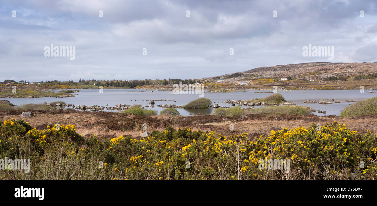 Ireland, Co Donegal, The Rosses Dungloe, inland fishing lake, panoramic Stock Photo