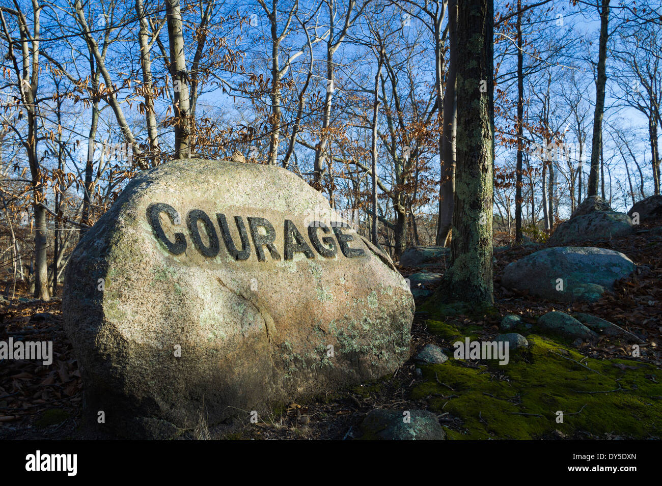 Dogtown massachusetts hi-res stock photography and images - Alamy