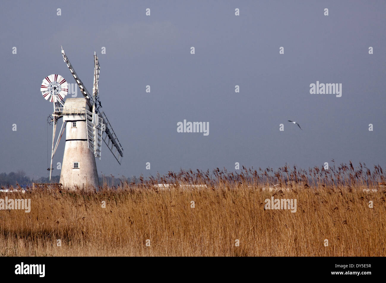 Thurne Dyke drainage mill Stock Photo