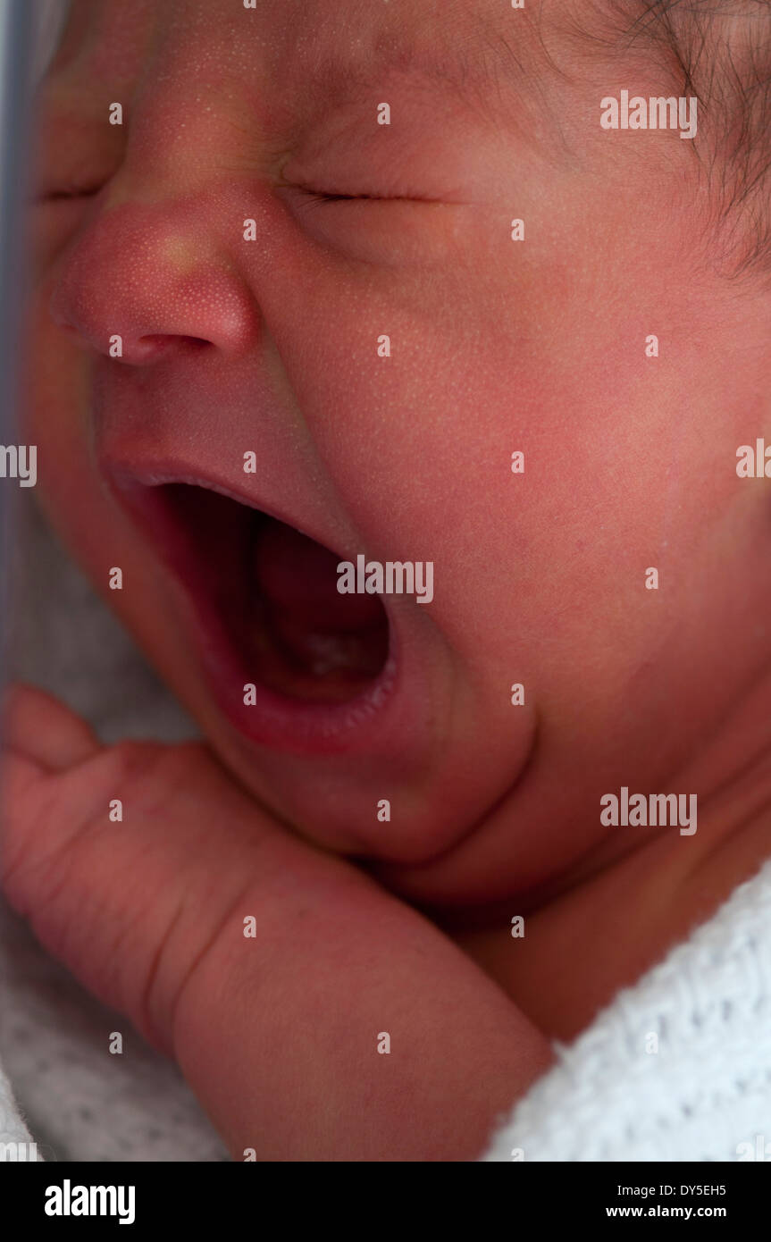 Close up of newborn baby girl crying Stock Photo