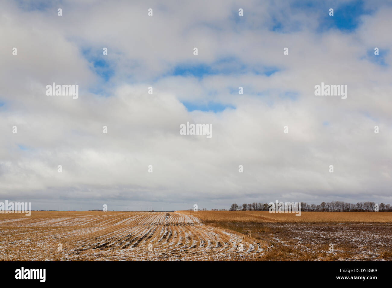 USA, North Dakota, Pillsbury, farm field, early winter Stock Photo Alamy