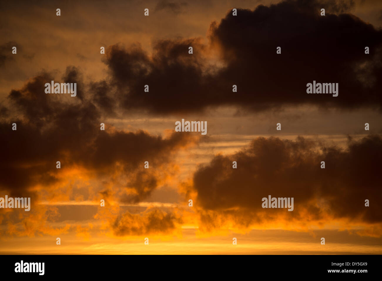 Light clouds are silhouette against a golden sky at sunset. Stock Photo