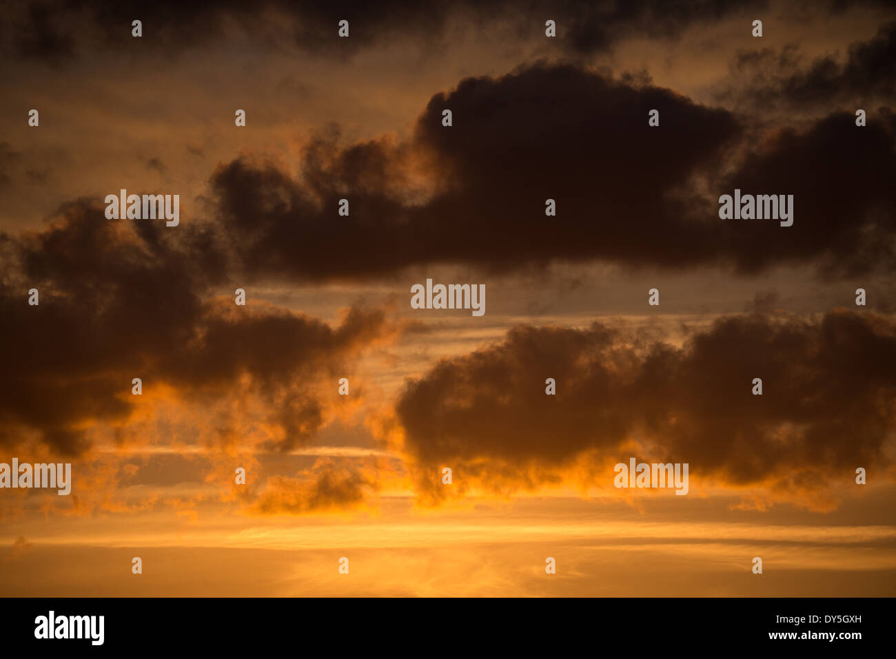 Light clouds are silhouette against a golden sky at sunset. Stock Photo