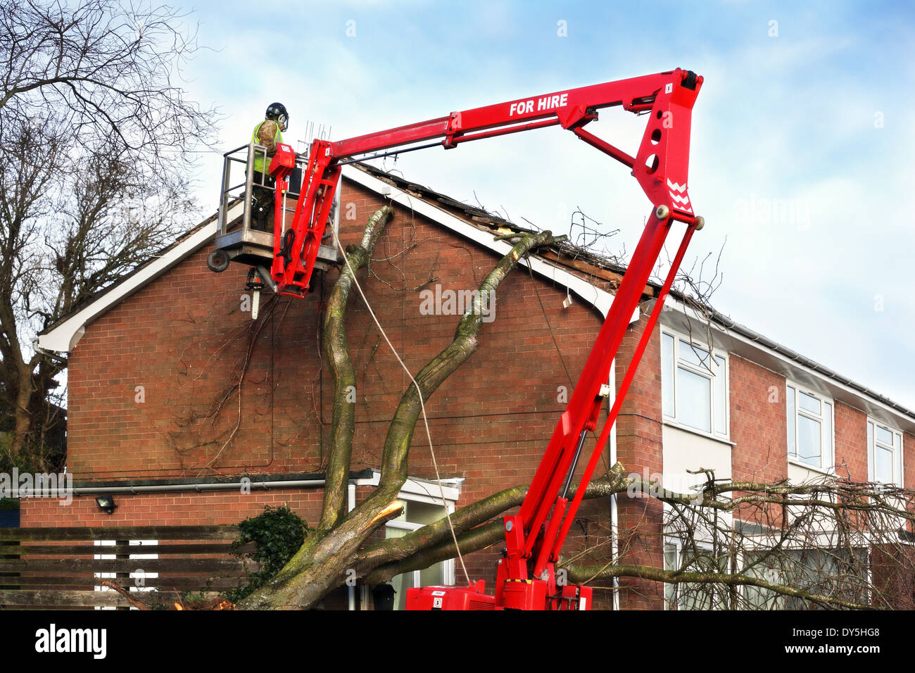Tree surgeon working up cherry picker repairing storm damaged roof after an uprooted tree fell on top of a residential house Stock Photo