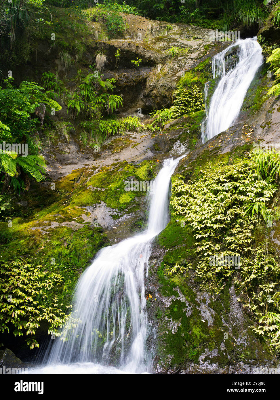 Waiotemarama Waterfall, near Hokianga, Northland, New Zealand. Stock Photo
