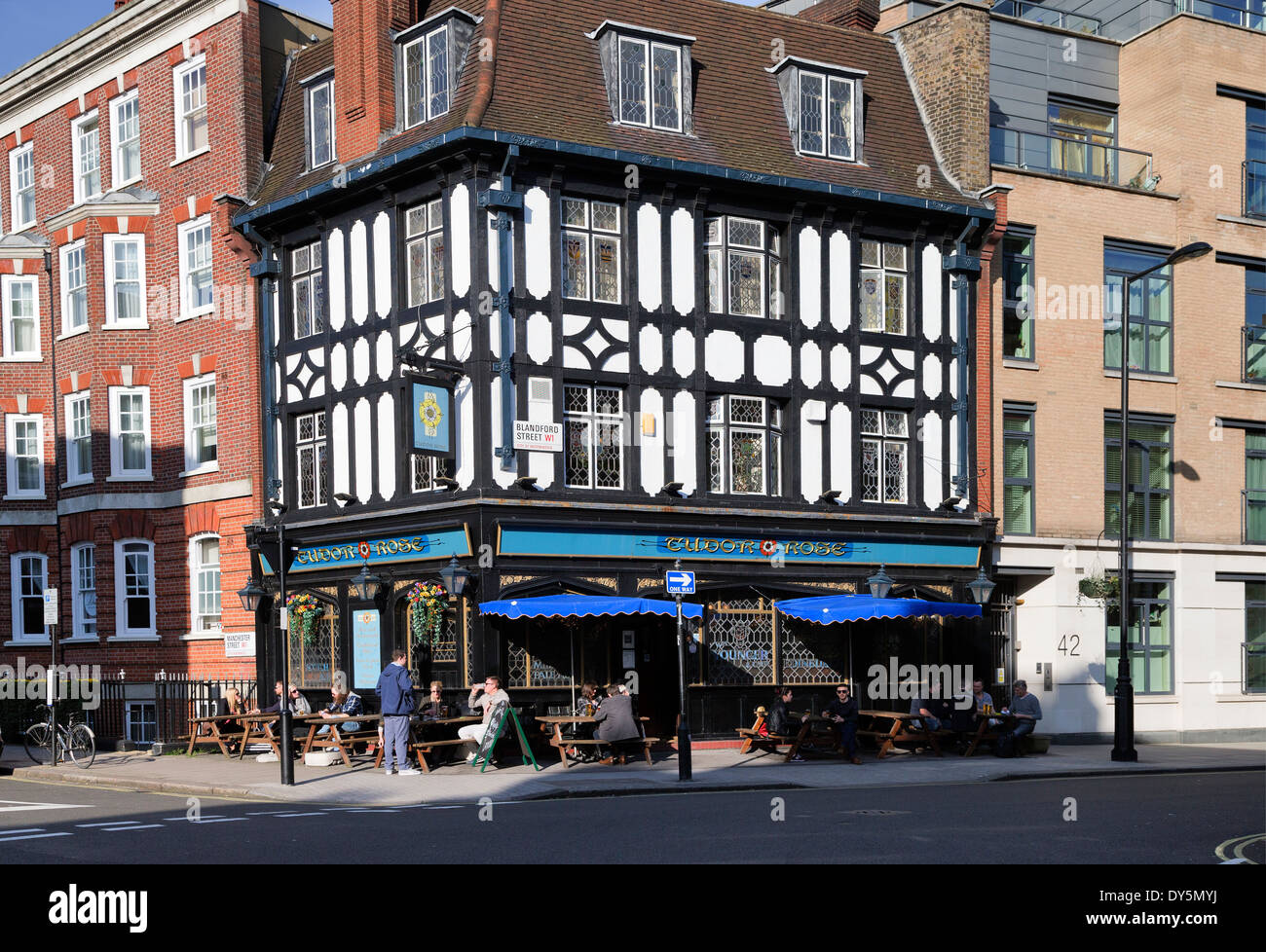 Tudor Rose pub, Blandford Street, London, England, UK Stock Photo