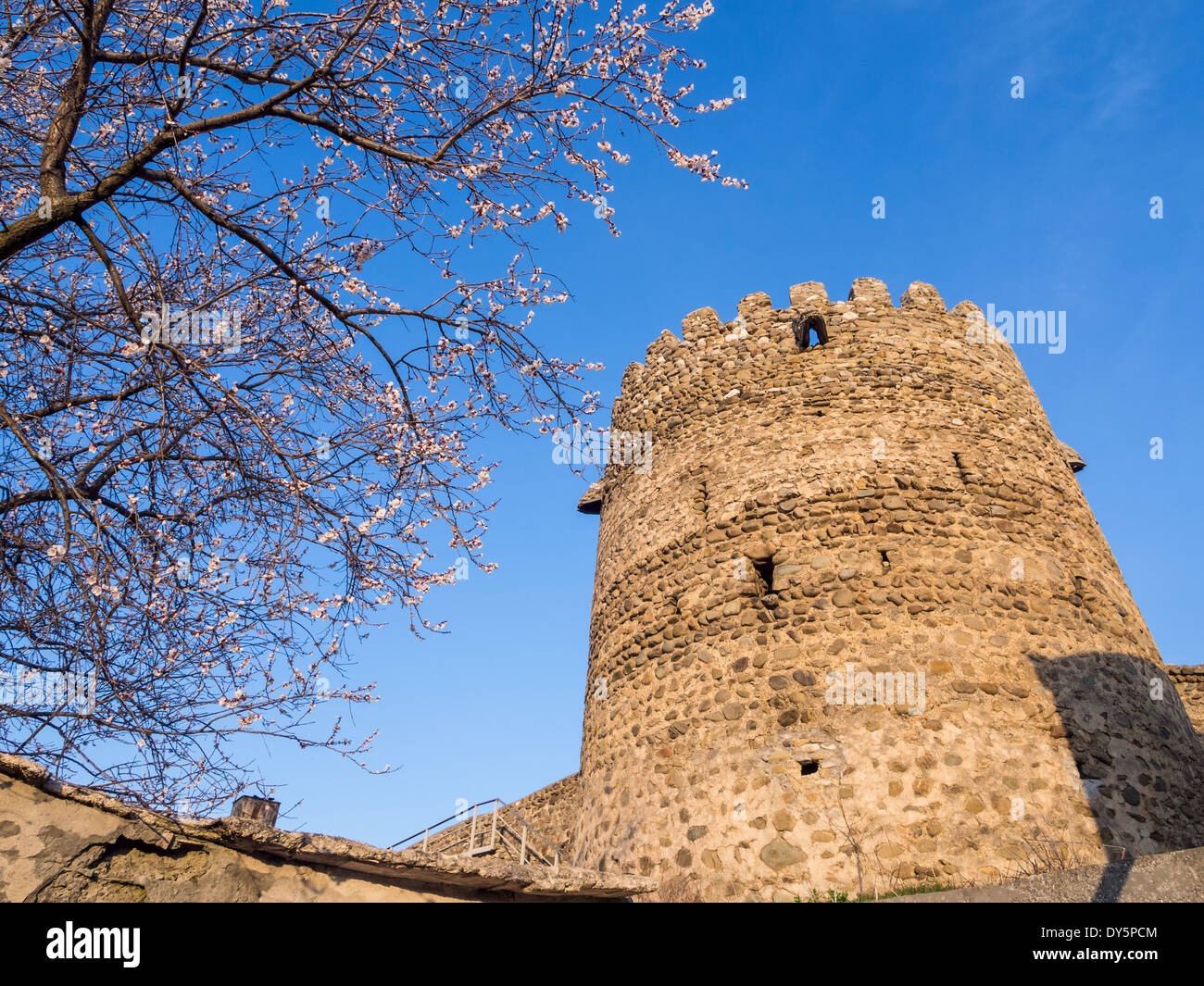 Signahi Sighnaghi wall hi-res stock photography and images - Alamy