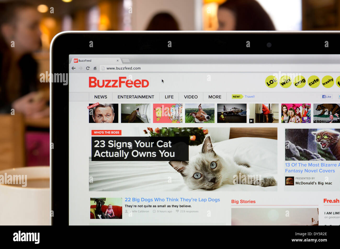 The BuzzFeed website shot in a coffee shop environment (Editorial use only: print, TV, e-book and editorial website). Stock Photo