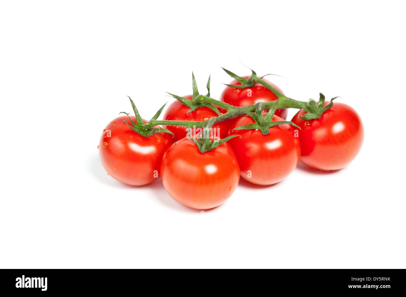 Cherry tomatoes on a branch isolated on white Stock Photo - Alamy