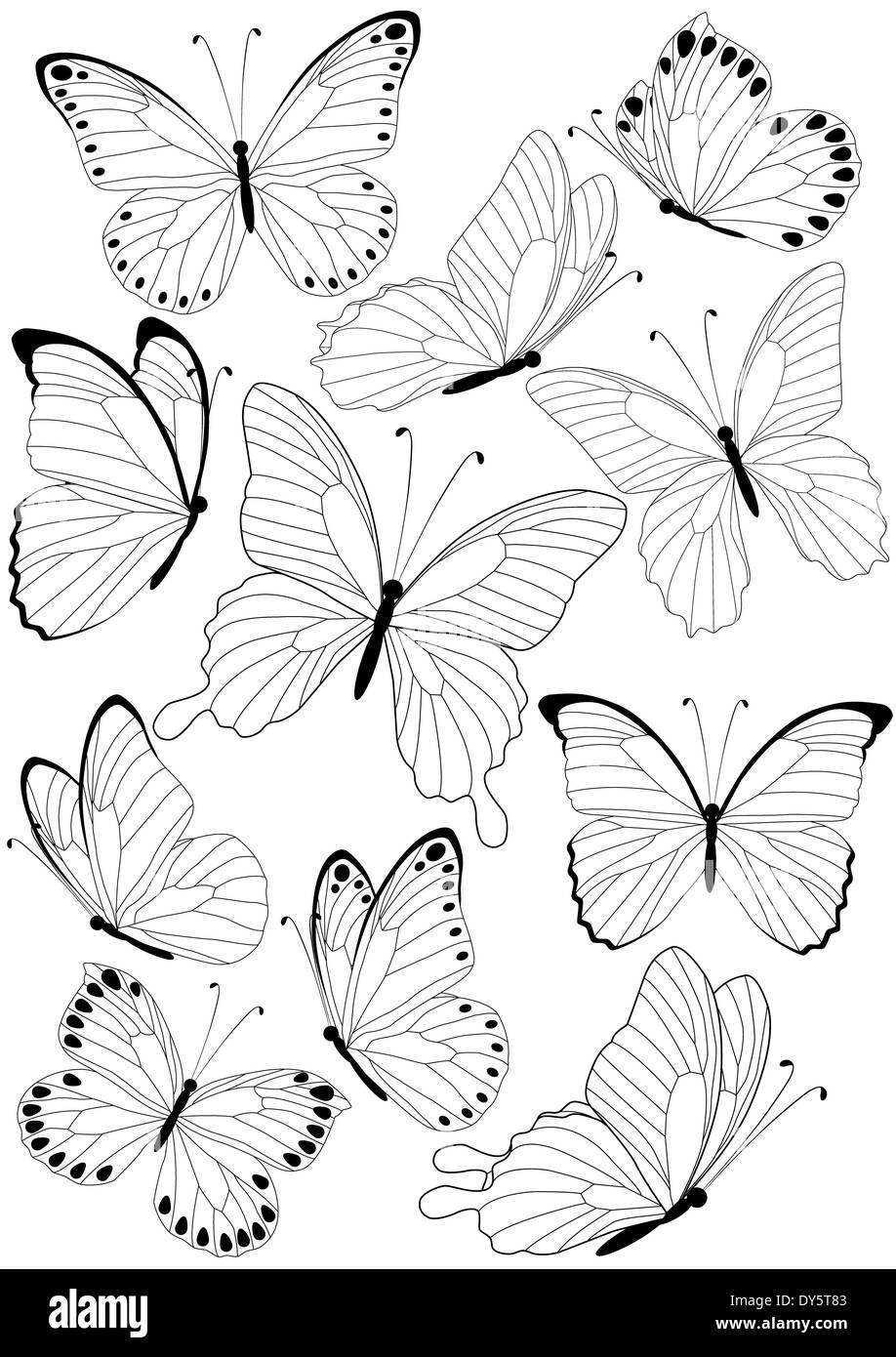 set of silhouette butterflies isolated on white background Stock Photo ...