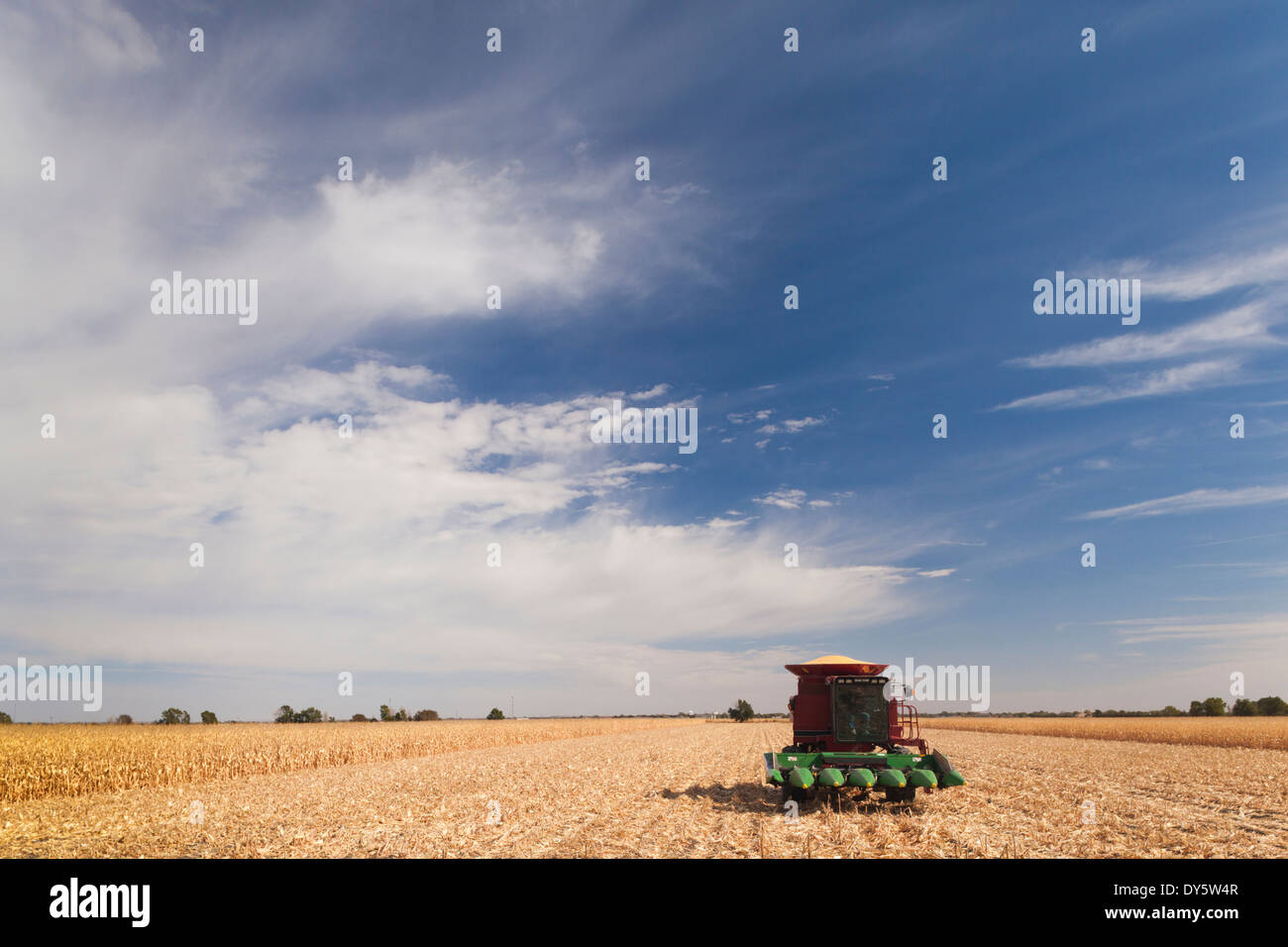 USA, Nebraska, North Platte, wheat field and combine Stock Photo