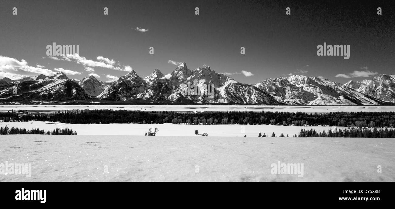 Black & white winter panorama view of the Teton Mountain Range, Wyoming, USA Stock Photo