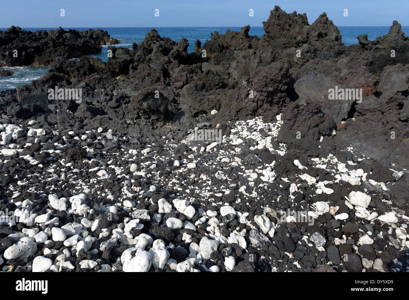 Black Lava and White Coral, Kealakekua Bay, Captain Cook, Kailu Kona, Big Island, Hawaii, USA Stock Photo