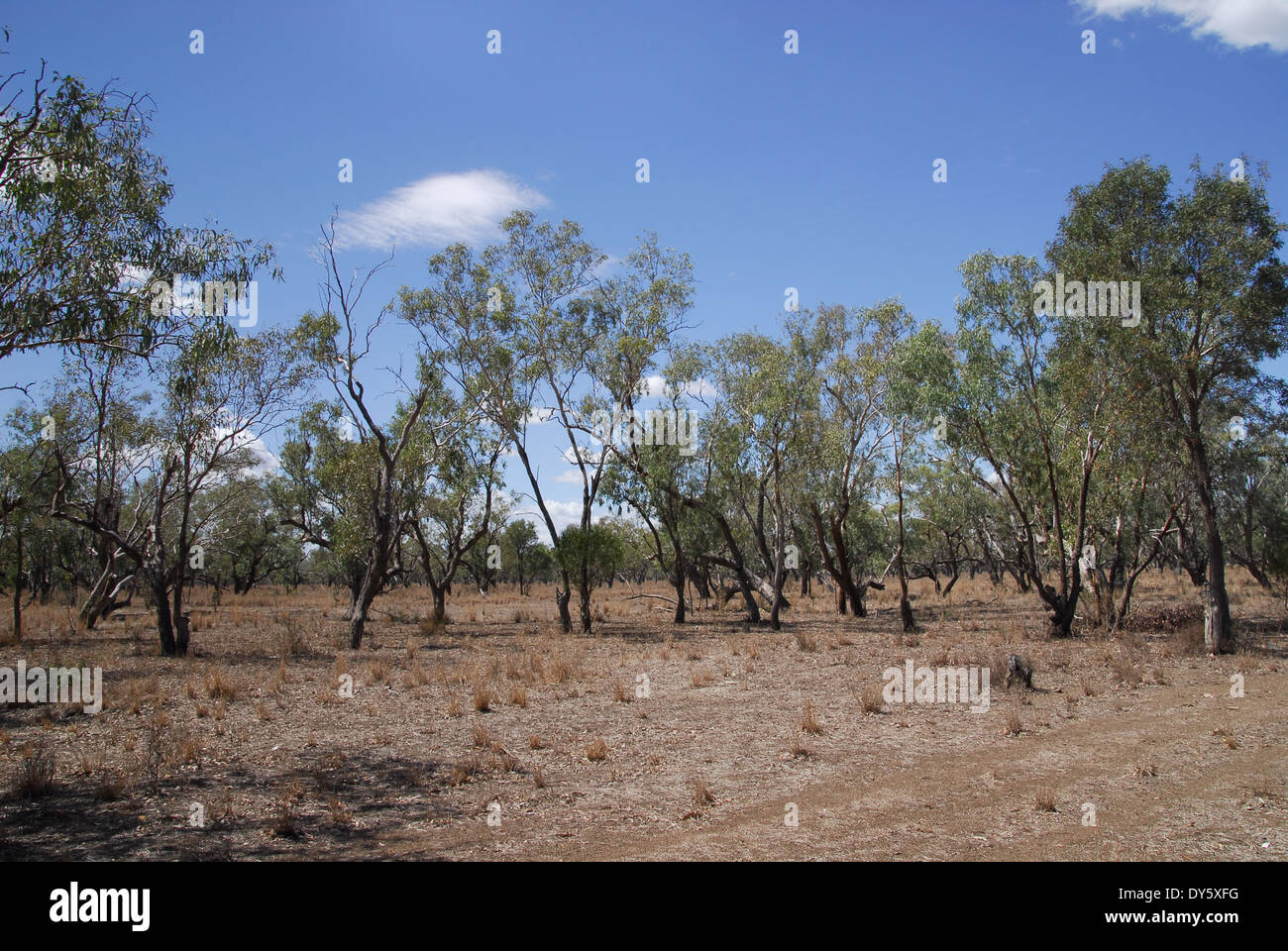Hinterland landscape in Australia Stock Photo