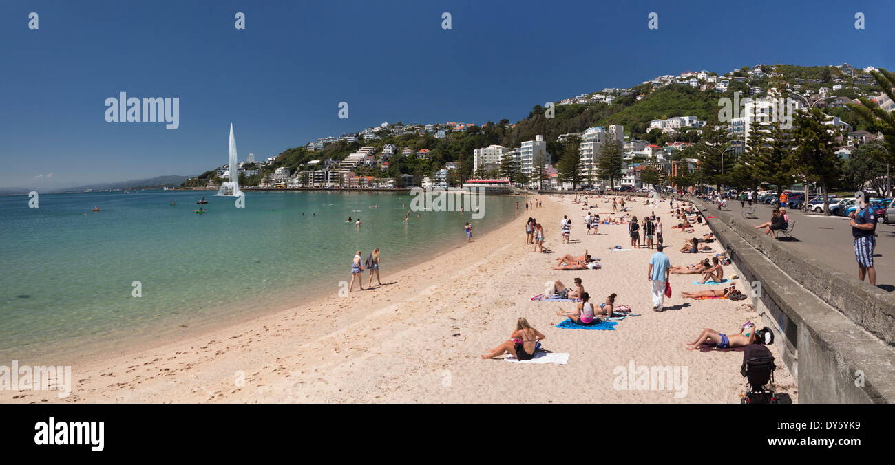 Oriental Bay and beach, Wellington, North Island, New Zealand, Pacific Stock Photo