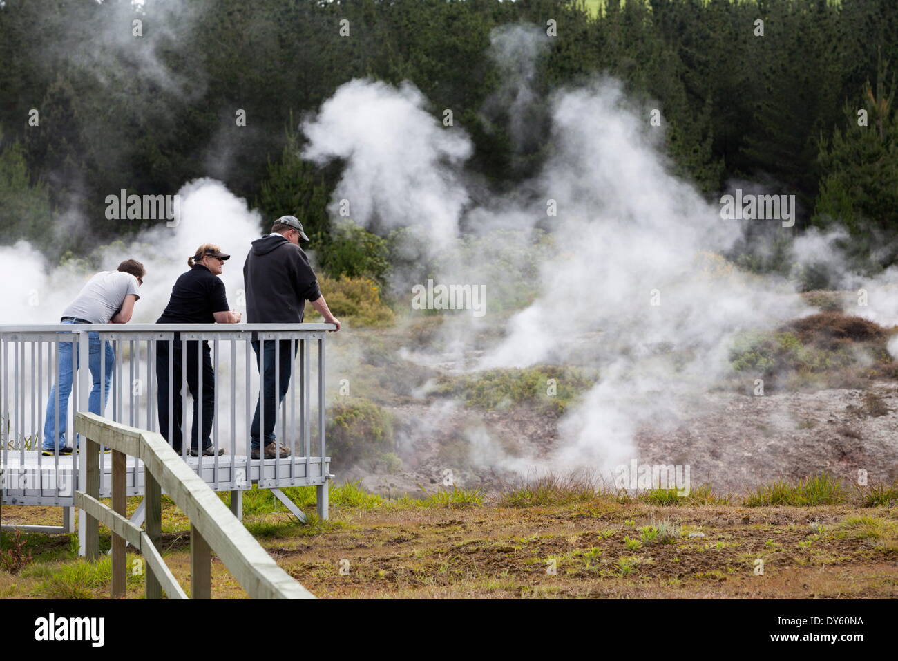 Hot steam, Craters of the Moon Thermal Area, Taupo, North Island, New Zealand, Pacific Stock Photo