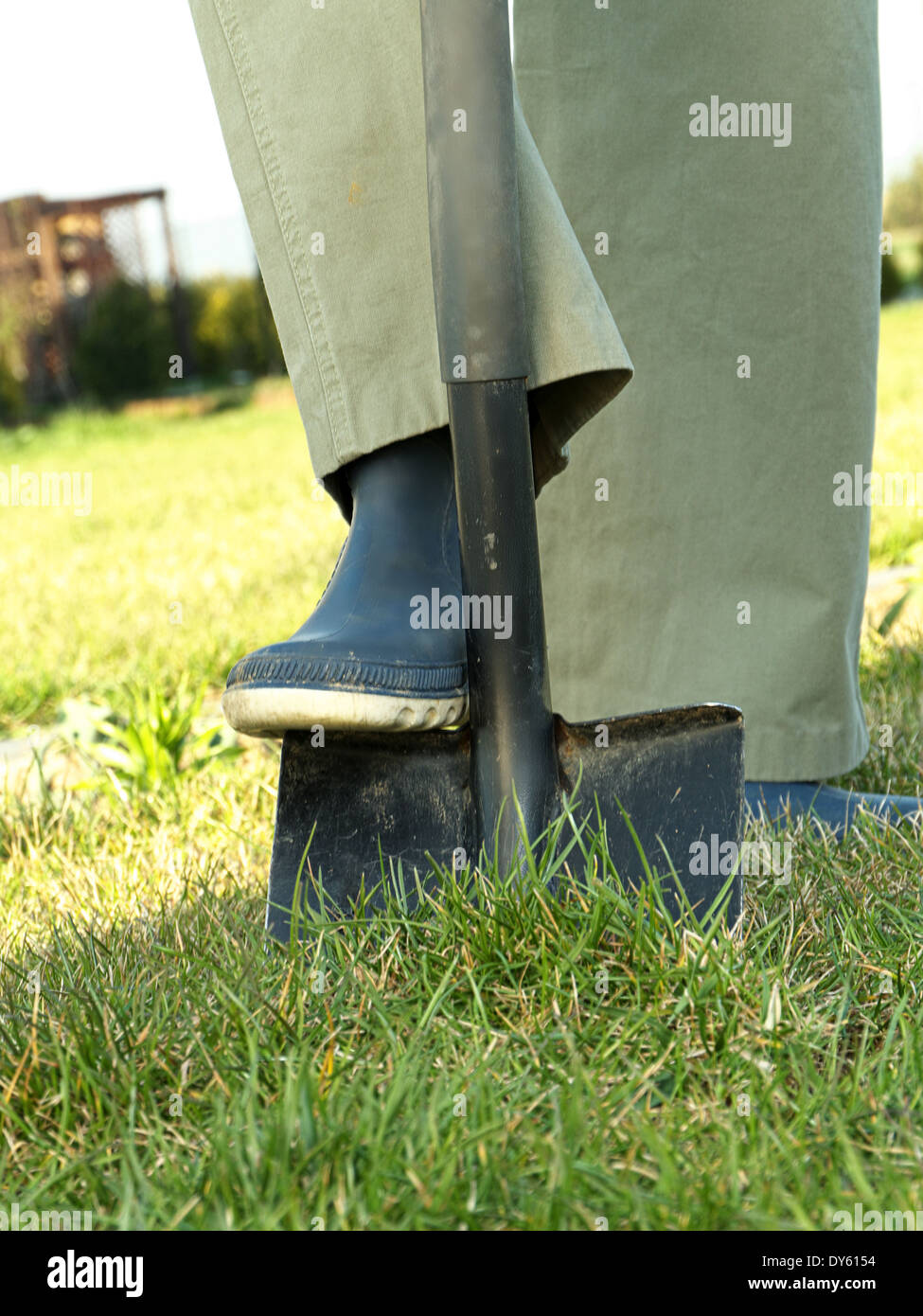 Gardener digging a hole with spade in the garden Stock Photo