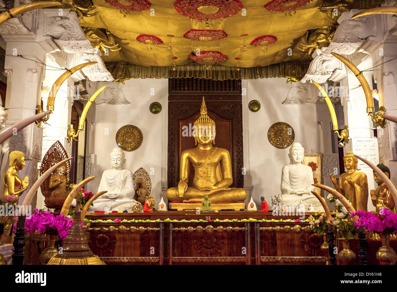 Golden sitting Buddhist statue, Temple of the Sacred Tooth Relic, UNESCO World Heritage Site, Kandy, Sri Lanka, Asia Stock Photo