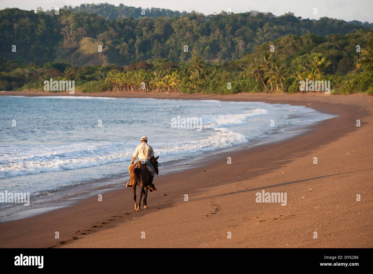 Drake Bay, Osa Peninsula, Costa Rica, Central America Stock Photo - Alamy