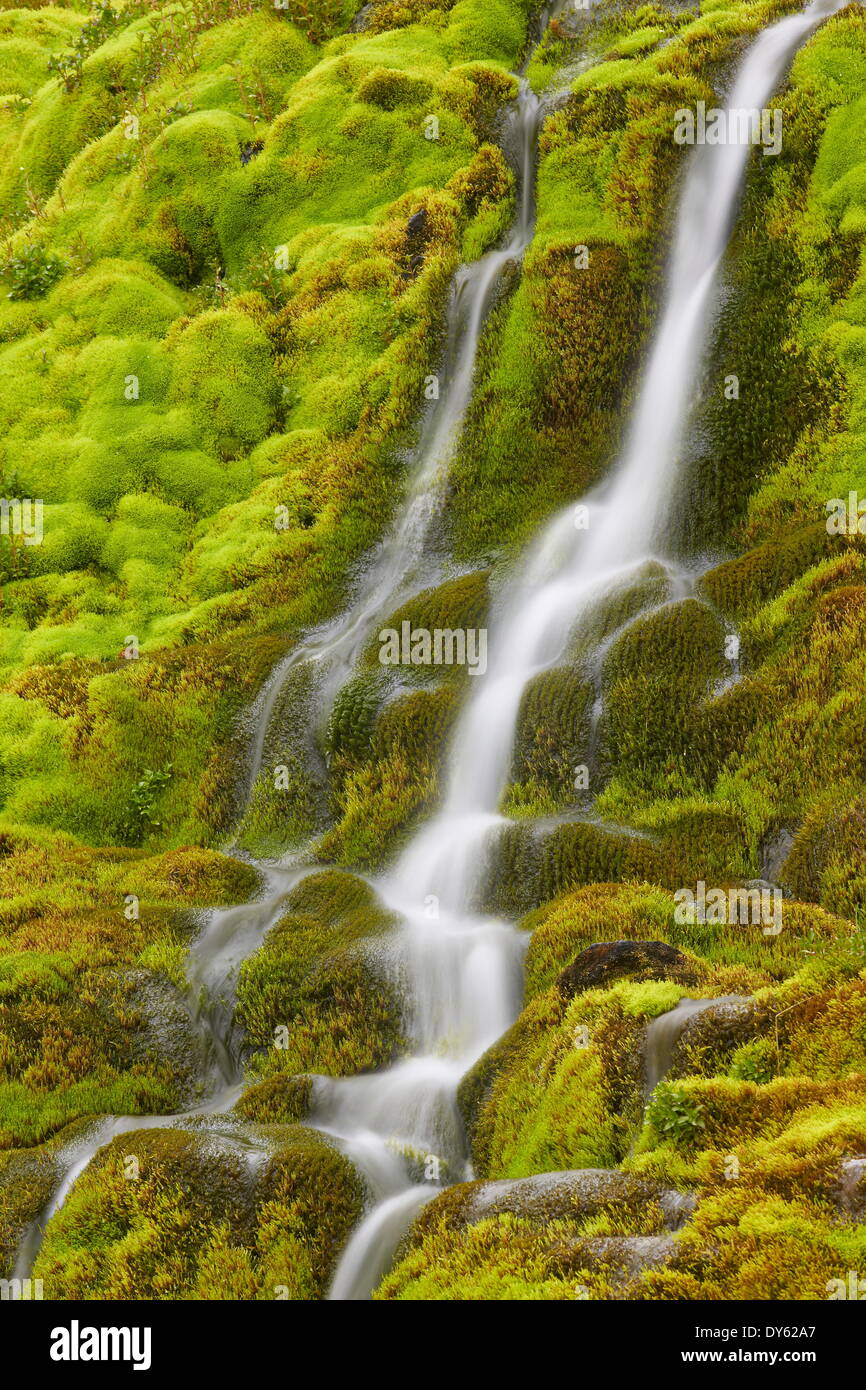 Stream through moss, Iceland, Polar Regions Stock Photo