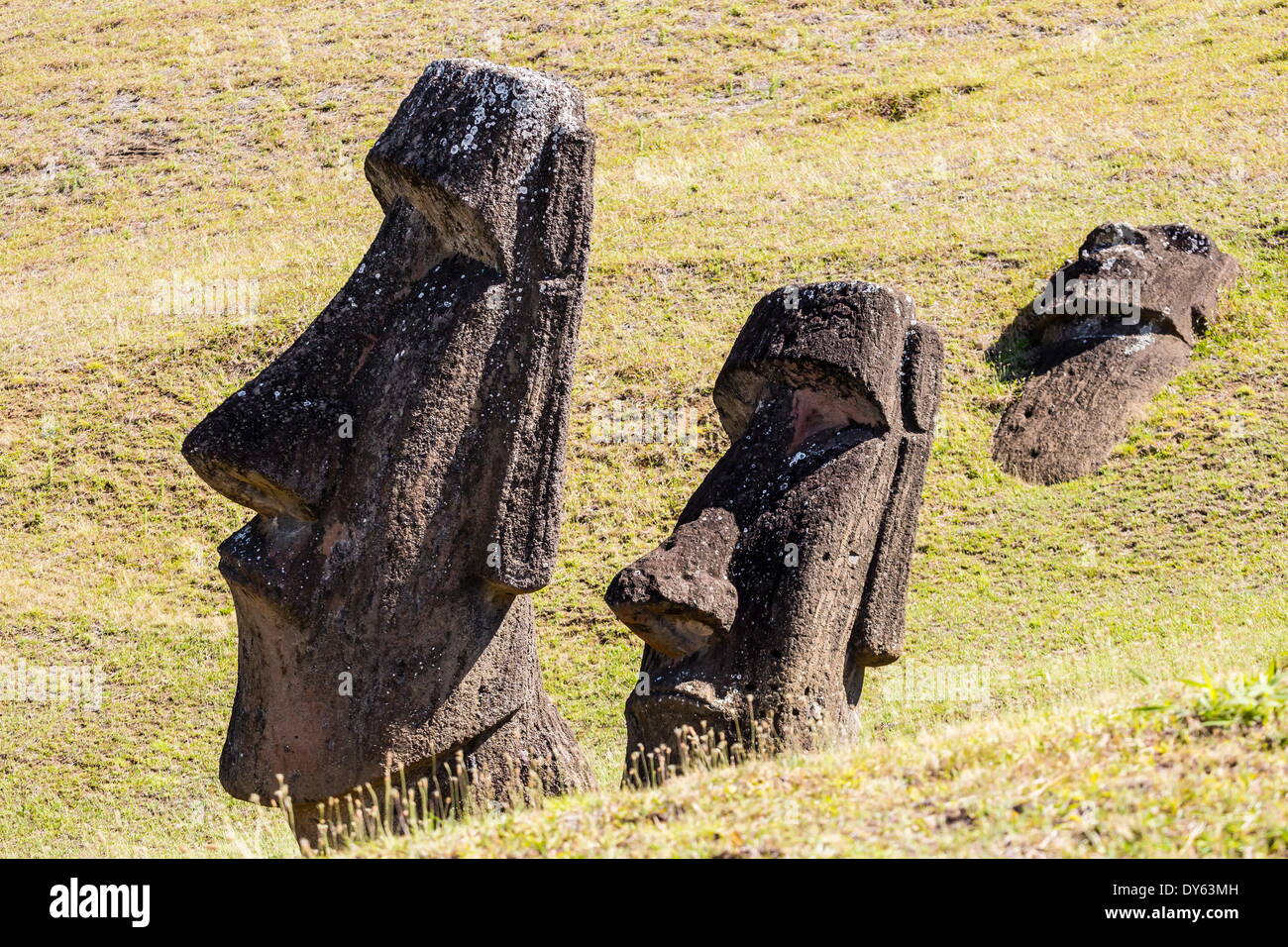Rano Raraku, the quarry site for all moai statues on Easter Island (Isla de Pascua) (Rapa Nui), UNESCO Site, Chile Stock Photo