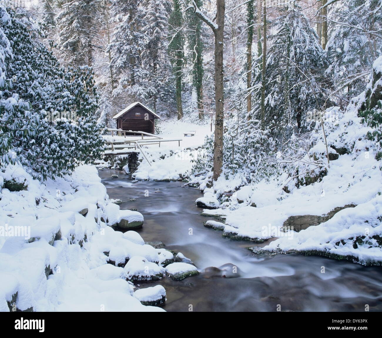 Cottage In A Forest In Winter Near Geroldsau Waterfall Black