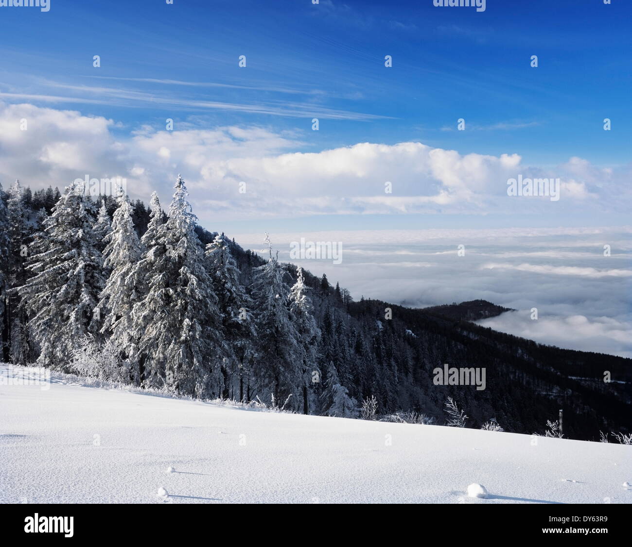 View from Kandel Mountain, Black Forest, Baden Wurttemberg, Germany