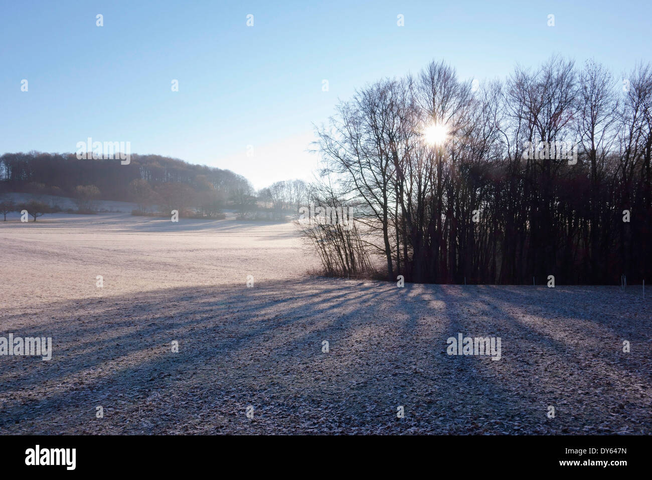 Winter landscape, Swabian Alb, Baden-Wurttemberg, Germany, Europe Stock Photo