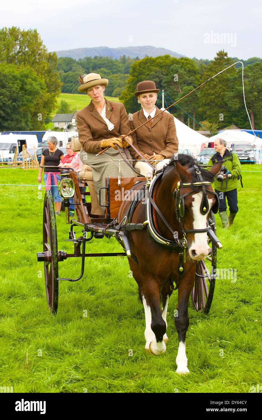 Woman Driving Horse Carriage High Resolution Stock Photography and