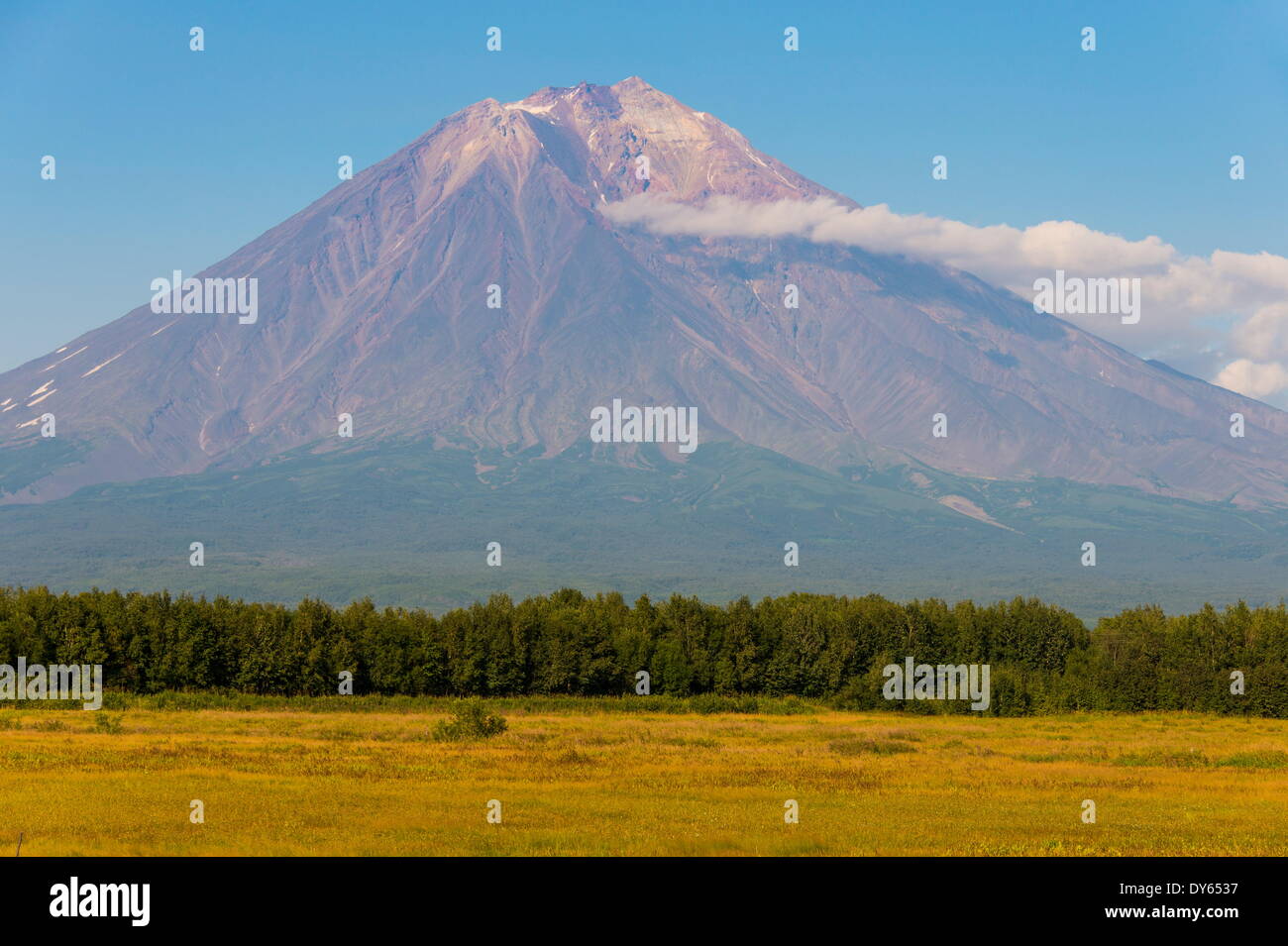 City plan Petropavlovsk Kamchatsky