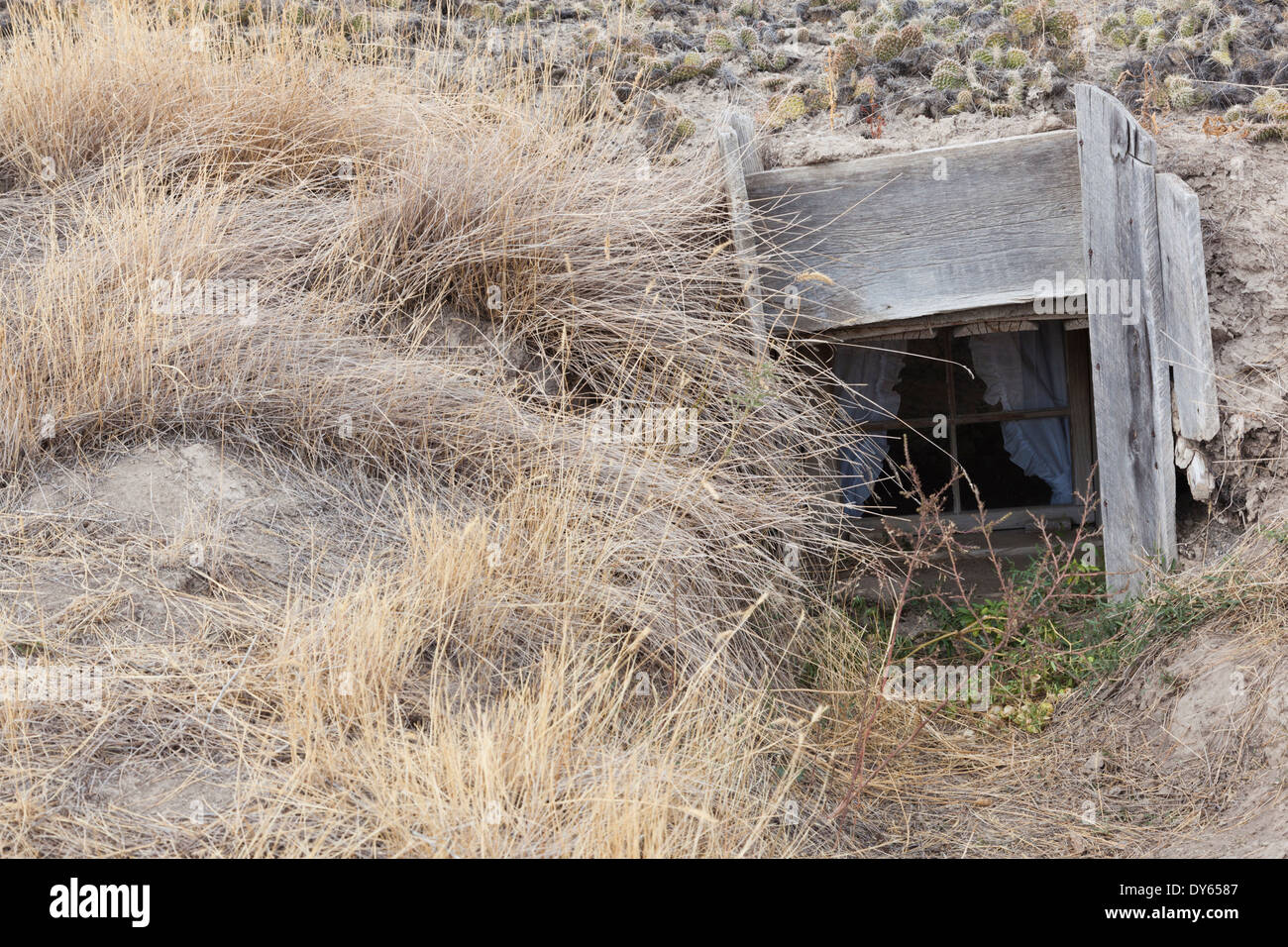 USA, South Dakota, Cactus Flat, Prairie Homestead, homesteader sod