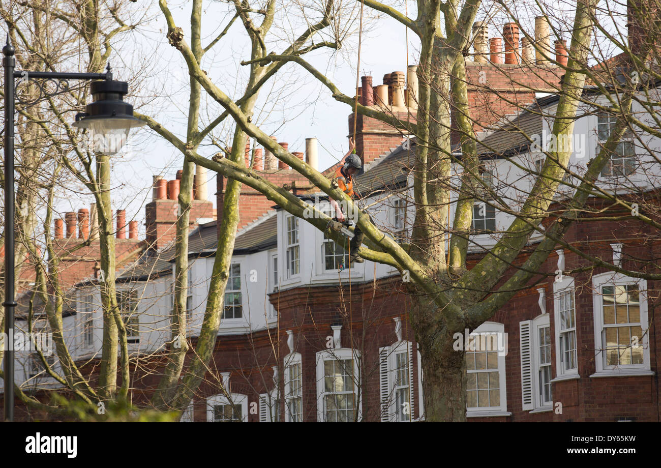UK, London : Tree Surgeons at work on a residential street in Islington, North London on 17 March, 2014. Stock Photo
