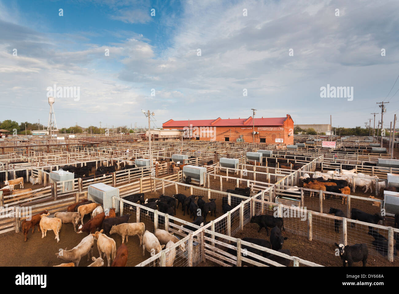 USA, Oklahoma, Oklahoma City, Oklahoma National Stockyards, elevated view of cattle pens Stock Photo
