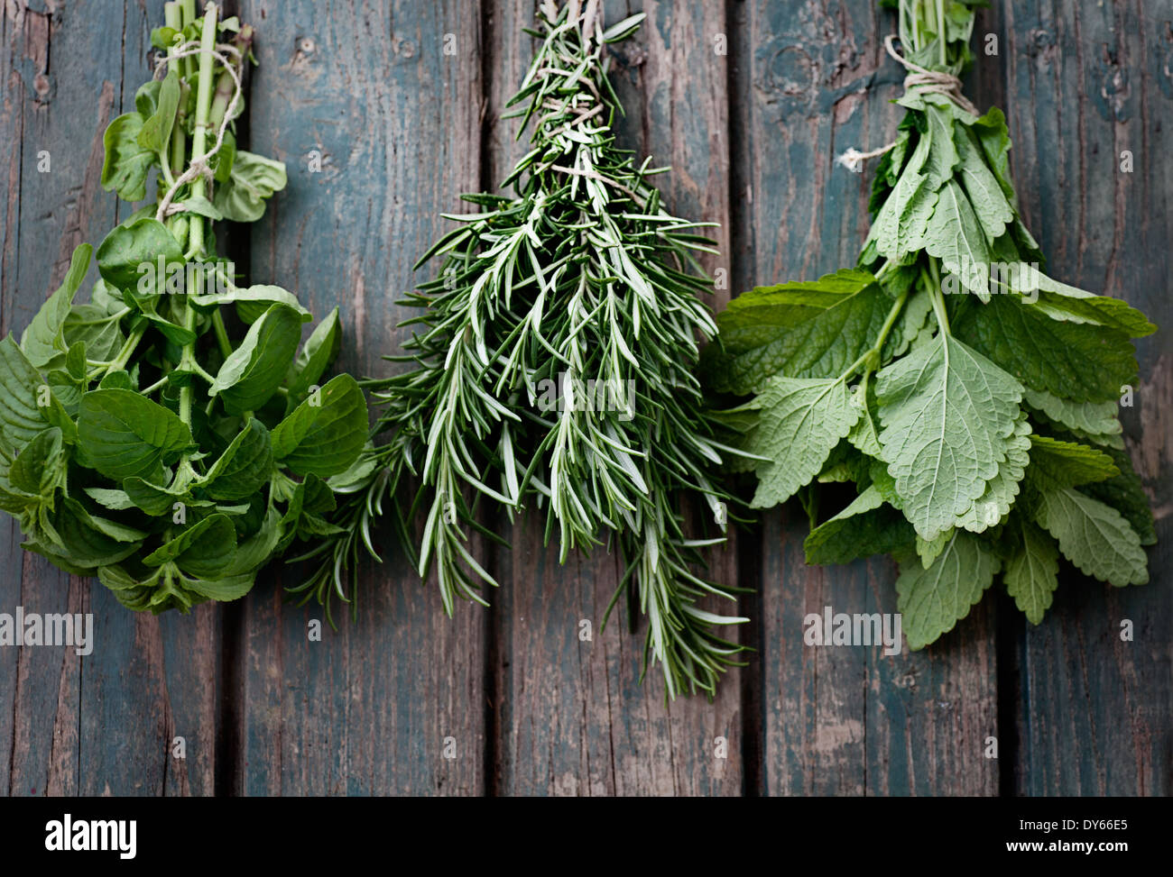 Fresh herbs plants. Culinary herbs and spices Stock Photo Alamy