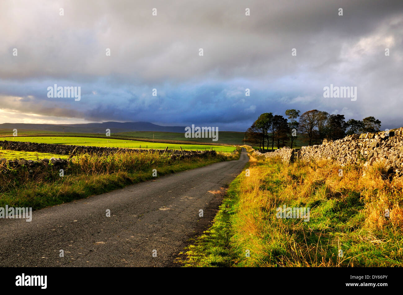 moorland road with dramatic sky Stock Photo