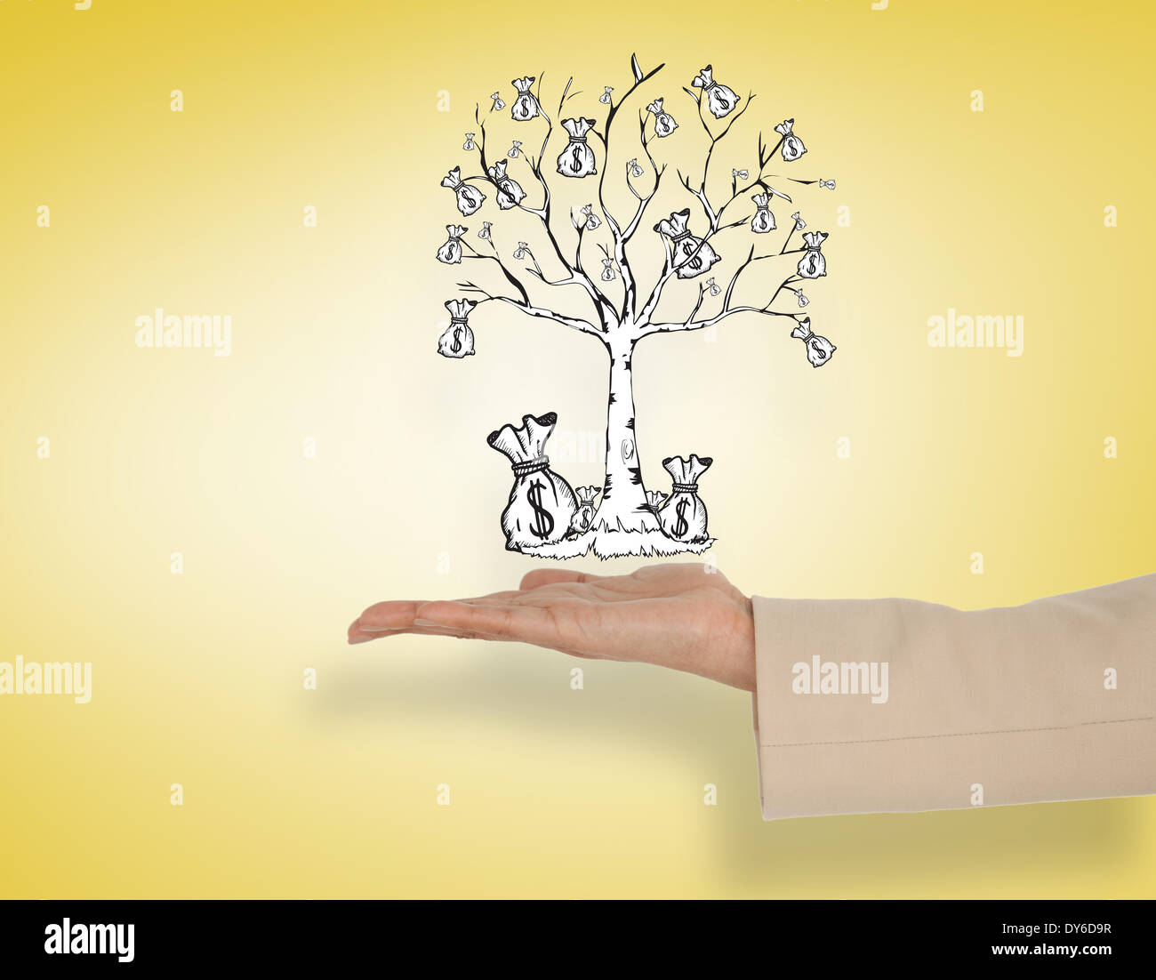 Empty money tree hi-res stock photography and images - Alamy