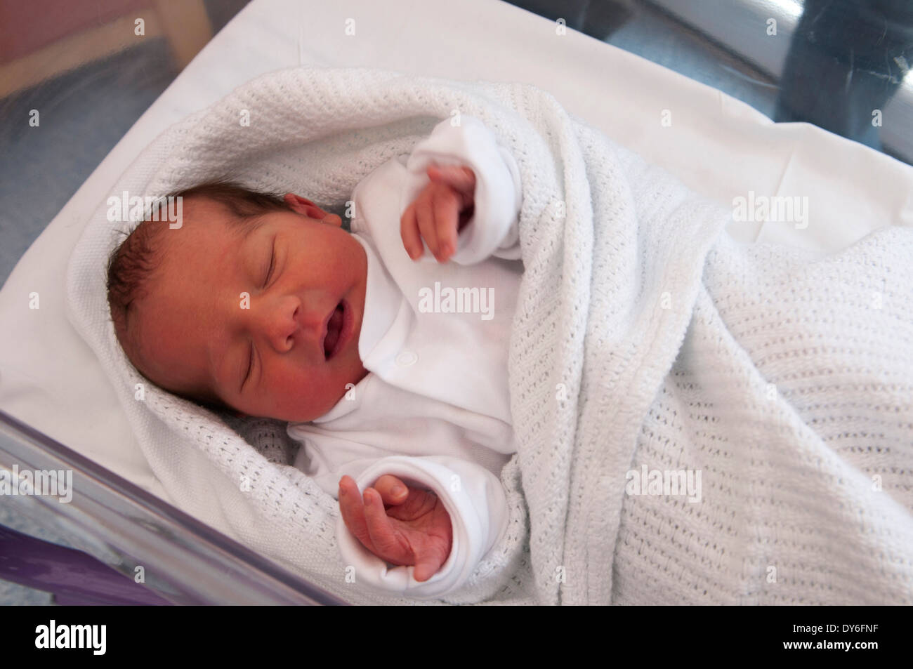 Newborn baby girl a few hours old asleep in hospital cot Stock Photo