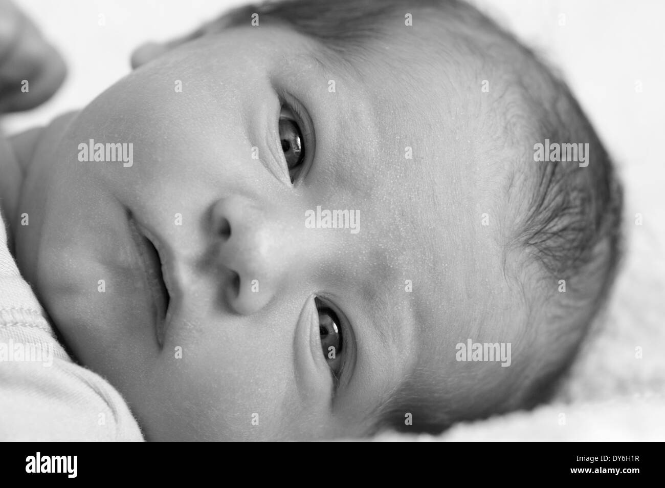 Black and white portrait of a newborn baby girl Stock Photo