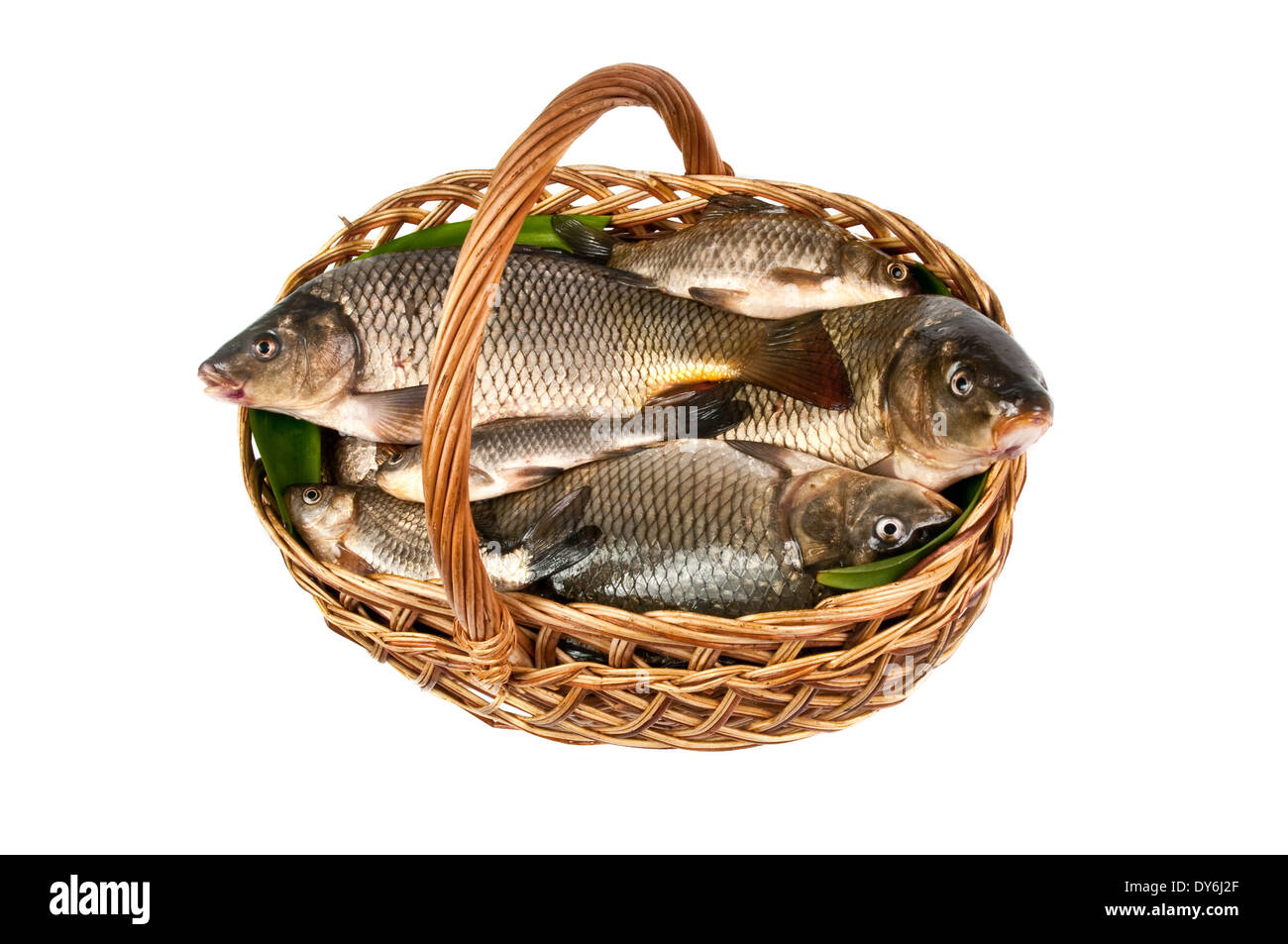 Fresh fish in a basket isolated in white Stock Photo Alamy