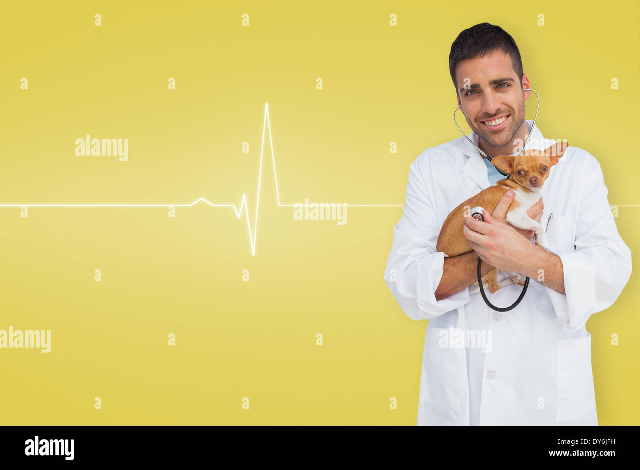 Composite image of vet holding chihuahua Stock Photo