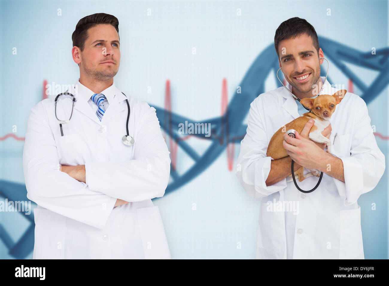 Composite image of vet holding chihuahua and doctor Stock Photo