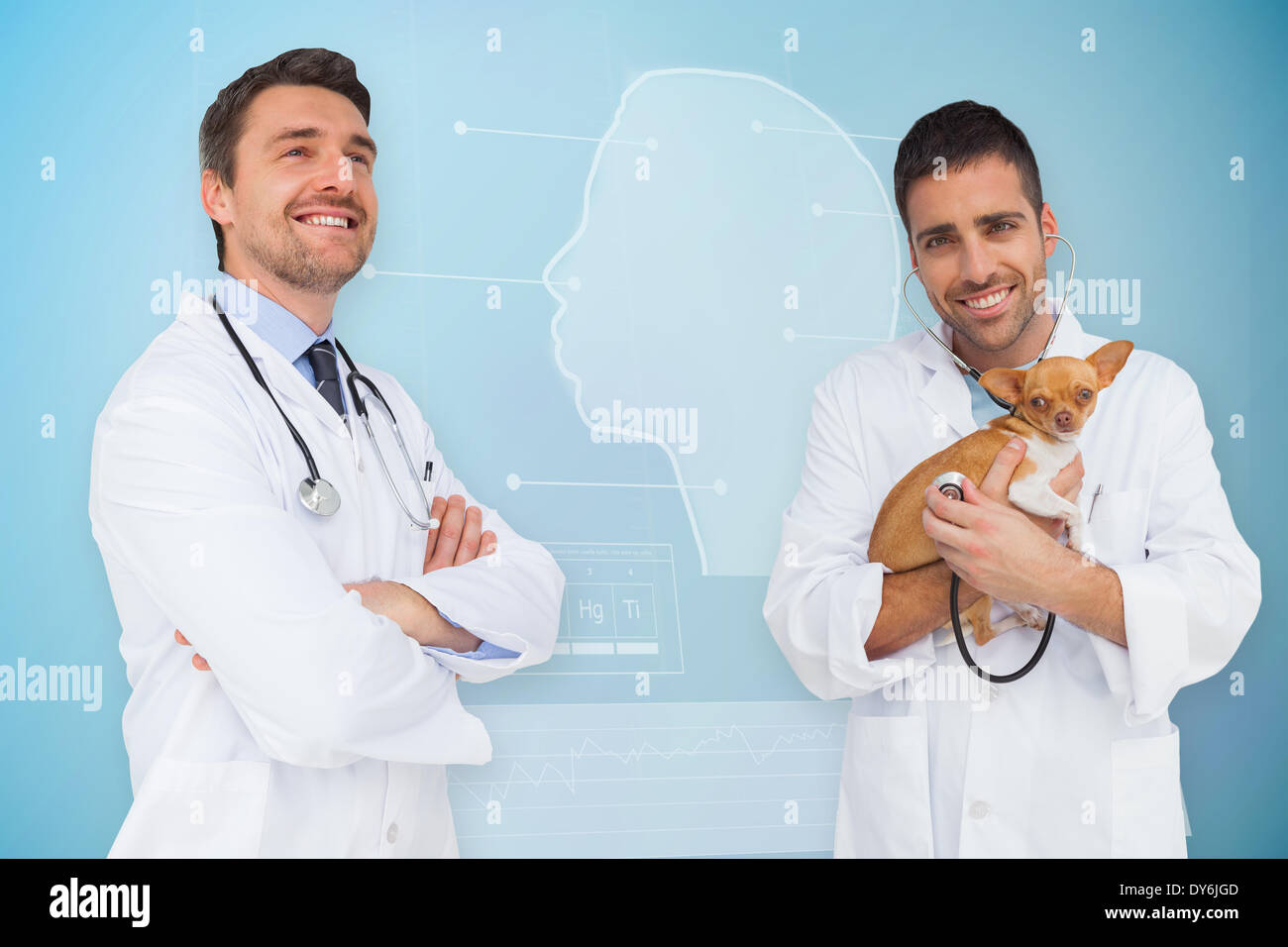 Composite image of vet holding chihuahua and doctor Stock Photo