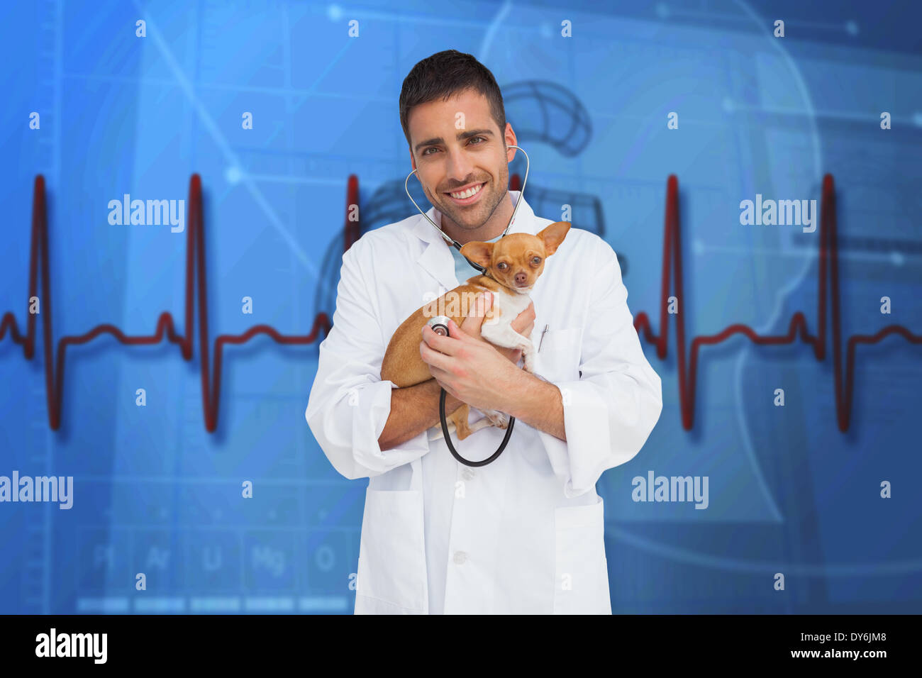 Composite image of vet holding chihuahua Stock Photo