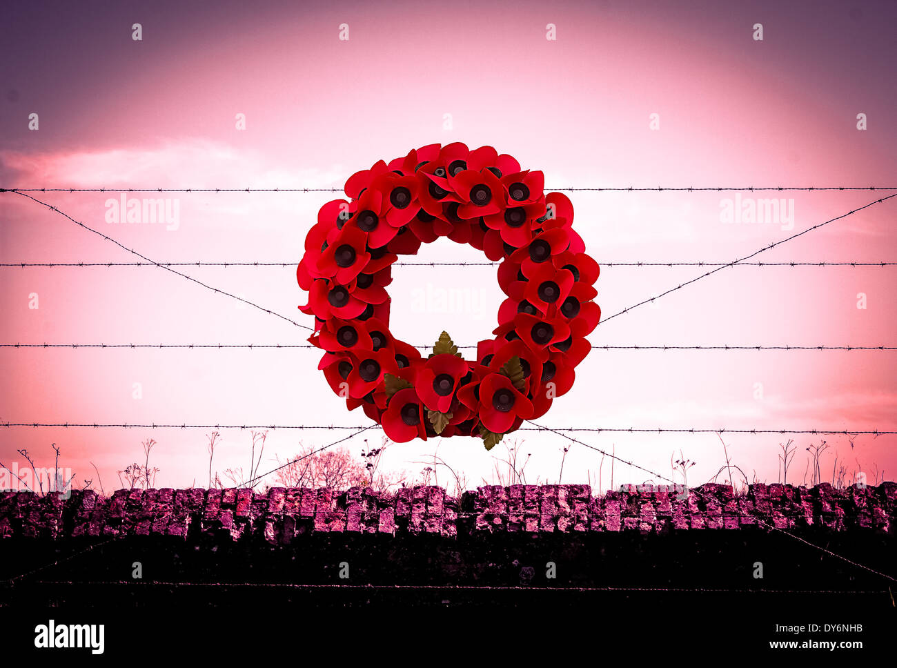 Ww1 battlefield barbed wire hi res stock photography and images Alamy Ww1 battlefield barbed wire hi res stock photography and images Alamy