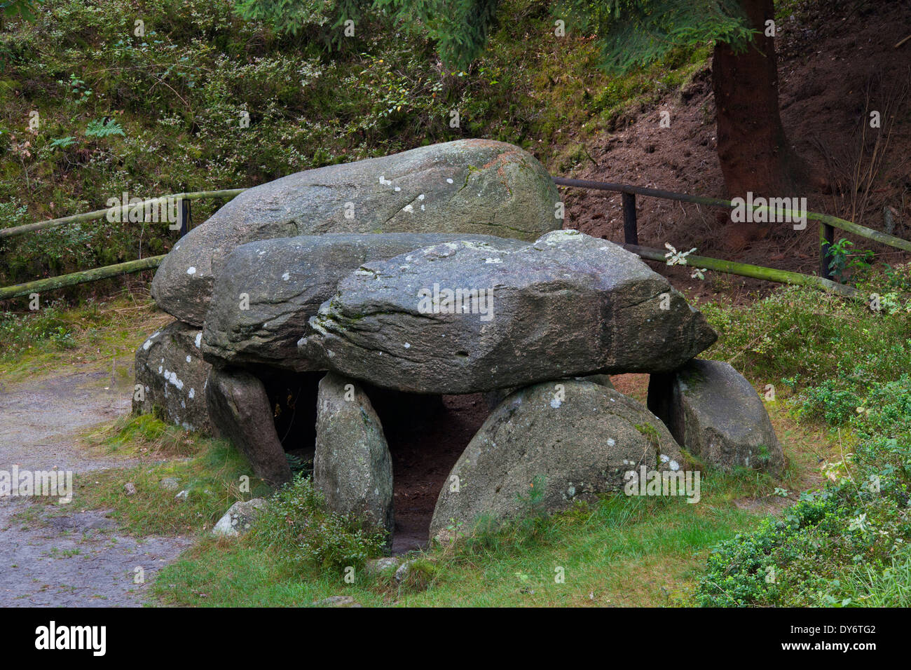 Seven Stone Houses / Sieben Steinhäuser, Neolithic dolmens at Bergen, Lüneburg Heath / Lunenburg Heathland, Saxony, Germany Stock Photo