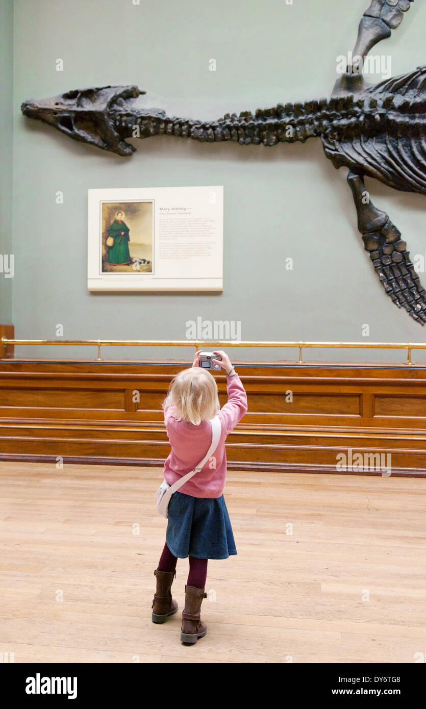 Child and dinosaur; A young child taking a photo of dinosaur fossil bones, Natural History Museum London UK Stock Photo